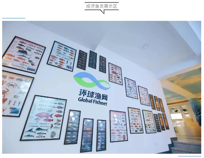 百创精品项目 | 中国第一家世界海洋经济鱼类展览馆—环球渔网展览馆